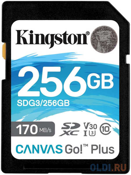 Карта памяти SDXC Kingston Canvas Go Plus, 256 Гб, UHS-I Class U3 V30 4348638641