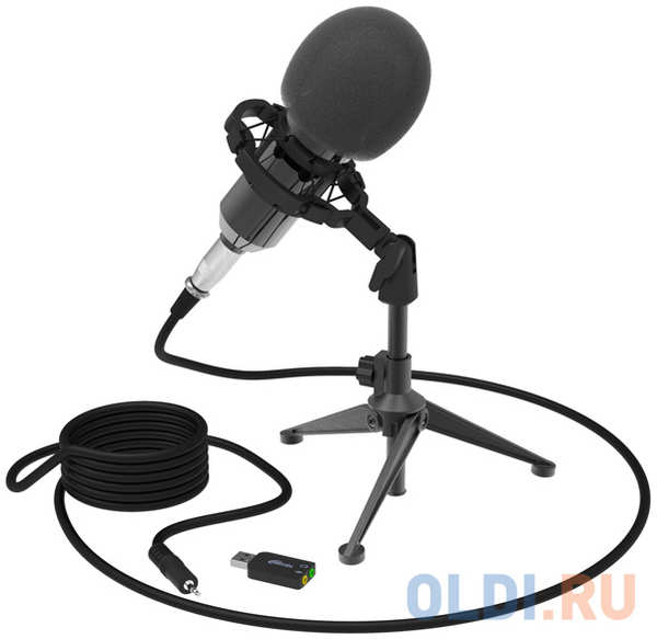 Микрофон проводной Ritmix RDM-160 2.5м