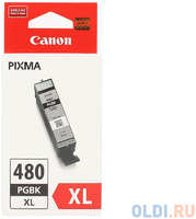 Картридж Canon PGI-480XL PGBK для Canon Pixma TS6140 / TS8140TS / TS9140 / TR7540 / TR8540 черный 2023C001