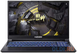 Ноутбук HASEE Z8D6 FHD Z8D6 FHD 15.6″