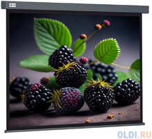 Экран Cactus 127x127см Wallscreen CS-PSW-127X127-SG 1:1 настенно-потолочный рулонный