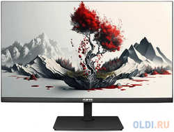 Монитор RDW Computers 23.8″ RDW2401K IPS 5ms 16:9 HDMI M/M матовая HAS Piv 1000:1 300cd 178гр/178гр 1920x1080 120Hz VGA DP FHD 4.185кг (RU