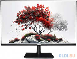 Монитор RDW Computers 27″ RDW2701K IPS 5ms 16:9 HDMI M/M HAS Piv 1000:1 300cd 178гр/178гр 1920x1080 100Hz VGA DP FHD (RUS)