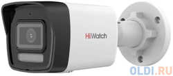 Камера IP HiWatch DS-I450M