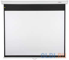Экран ручной рулонный Lumien Master Picture CSR 195x276 см 195x276 см