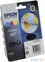 Картридж Epson C13T26704010 для WF-100 цветной
