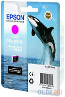 Картридж Epson C13T76034010 для Epson SC-P600 пурпурный