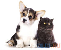 Коврик для мыши Buro BU-M40095 с рисунком котенок и щенок