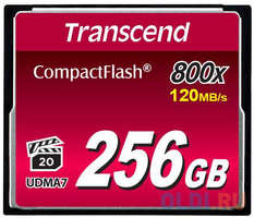 Флеш-накопитель Transcend 256GB CompactFlash 800X (TS256GCF800)