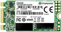 SSD накопитель Transcend MTS430 256 Gb SATA-III