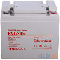 Battery CyberPower Professional series RV 12-45  /  12V 45 Ah (RV12-45)
