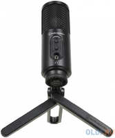 Микрофон проводной Audio-Technica ATR2500x-USB 2м черный (80000980)