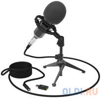 Микрофон проводной Ritmix RDM-160 2.5м