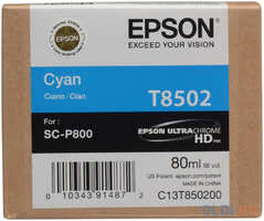 Картридж Epson C13T850200 для Epson SureColor SC-P800