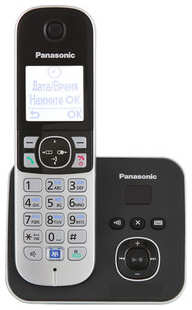Радиотелефон Panasonic KX-TG6821RUB 53702091