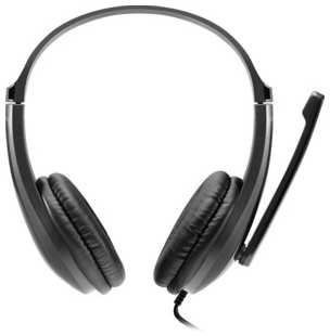 Гарнитура Canyon CHSU-1 basic PC headset with microphone, USB plug, leather pads, Flat cable length 2.0m, 160*60*160mm, 0.13k (CNS-CHSU1B) 538269650