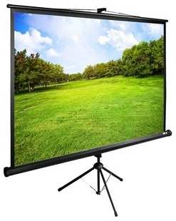 Экран Cactus 150x200 см TriExpert CS-PSTE-200x150-BK (CS-PSTE-200X150-BK)