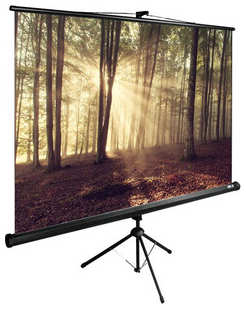 Экран для проектора Cactus 135x180 см TriExpert CS-PSTE-180x135-BK 4:3 напольный рулонный черный 538293028