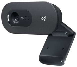 Веб-камера Logitech WebCam C505e 2Mpix USB2.0 с микрофоном для ноутбука