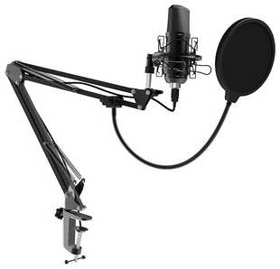 Настольный микрофон для записи голоса и вокала Ritmix RDM-169 USB 538840073