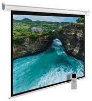 Экран Cactus 150x200 см MotoExpert CS-PSME-200x150-WT (CS-PSME-200X150-WT)