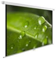 Экран Cactus 150x200 см WallExpert CS-PSWE-200x150-WT (CS-PSWE-200X150-WT)
