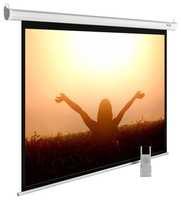 Экран Cactus 165x220 см MotoExpert CS-PSME-220x165-WT (CS-PSME-220X165-WT)
