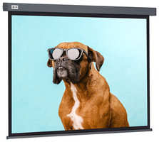Экран для проектора Cactus 149.4x265.7 см Wallscreen CS-PSW-149X265-SG 16:9 настенно-потолочный рулонный