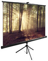 Экран для проектора Cactus 135x180 см TriExpert CS-PSTE-180x135-BK 4:3 напольный рулонный черный