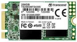 SSD накопитель Transcend 256Gb M.2 TS256GMTS430S