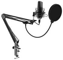 Настольный микрофон для записи голоса и вокала Ritmix RDM-169 USB