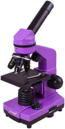 Микроскоп Levenhuk (Левенгук) Rainbow 2L Amethyst\Аметист 5805470