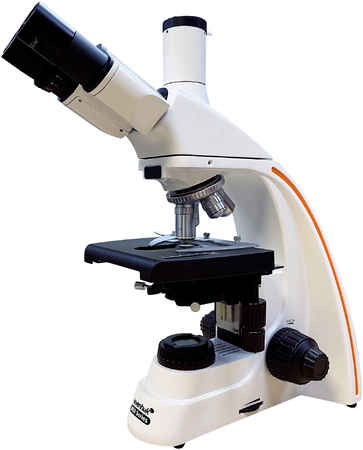 Микроскоп лабораторный Levenhuk (Левенгук) MED P1000KLED-4 5836856