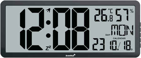 Часы-термометр Levenhuk (Левенгук) Wezzer Tick H80 5838758