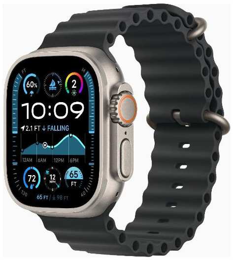 Смарт-часы Apple Watch Ultra 2 49mm Natural Titanium Case with Black Ocean Band, размер Regular 90154731740