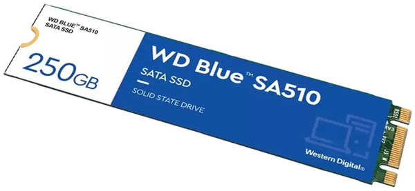 SSD накопитель WD SA510 250GB (WDS250G3B0B) 9092078781