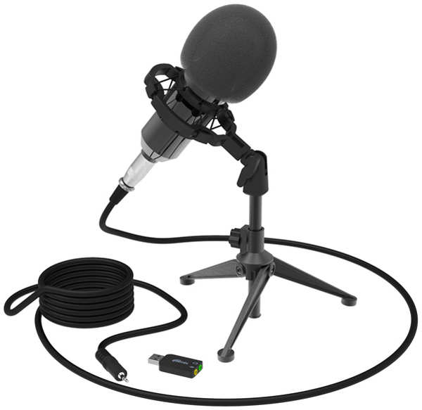 Студийный микрофон Ritmix RDM-160 Black 9092126481