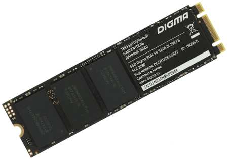 SSD накопитель Digma DGSR1256GS93T 9092152036