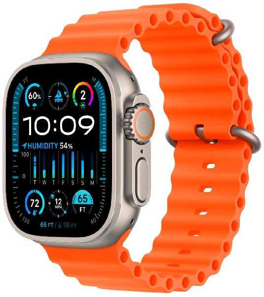 Смарт-часы Apple Watch Ultra 2 49mm Titanium Case with Ocean Band (MREH3)