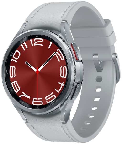 Смарт-часы Samsung Galaxy Watch6 Classic 43mm Silver (SM-R950N) 9098099854