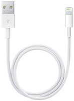 Кабель Apple USB / Lightning, 50 cм, белый (ME291ZM / A)