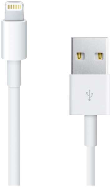 Кабель Apple USB - Lightning 0,5 метра (ME291) 9235761