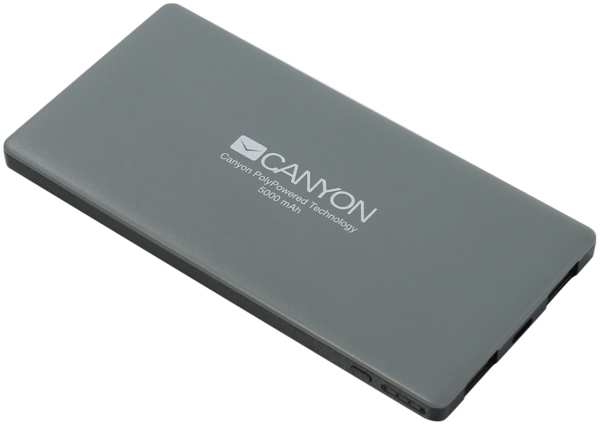 Аккумулятор Canyon CNS-TPBP5DG, серый 9253073