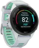 Умные часы Garmin Forerunner 255S (010-02641-33)