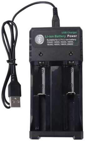 Зарядное устройство Run Energy для аккумуляторов Li-ion на 2 слота USB