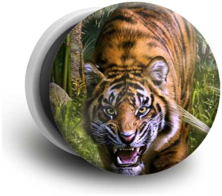 Case Place Попсокет белый с рисунком ″Тигр в джунглях 2″ POP01-110-1 965044488987357