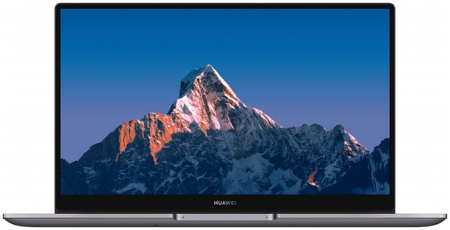 Ноутбук Huawei MateBook B3-520 Gray (53012YDQ) 965844420076178