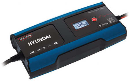 Зарядное устройство Hyundai Hy 810 965844423847897
