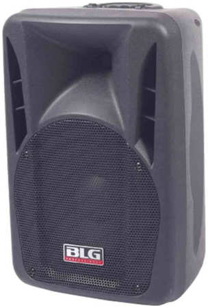 Активная акустическая система BLG RXA08P966