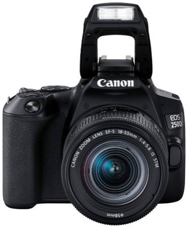 Фотоаппарат зеркальный Canon EOS 250D 18-55mm IS STM 3454C002 Black EOS 250D Kit 18-55mm f/4-5.6 IS STM 965844460086708